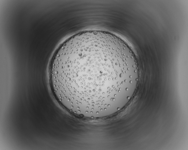 X0000099500998200805150946