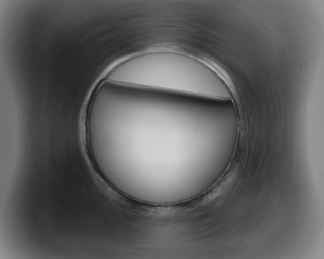 X0000099501000200805150946