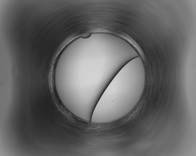 X0000099501002200805150946