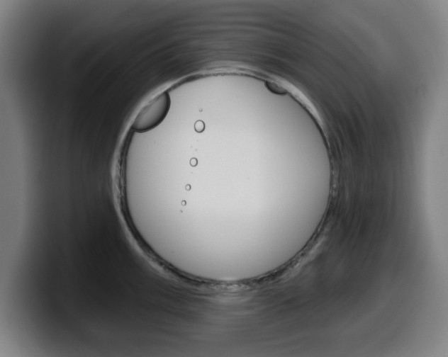 X0000099501003200805150945