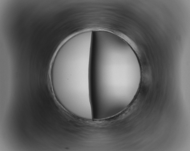 X0000099501004200805150945