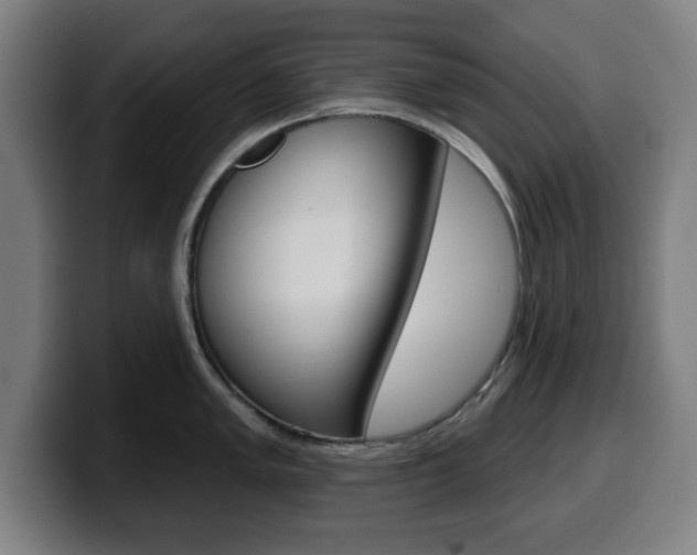 X0000099501005200805150945