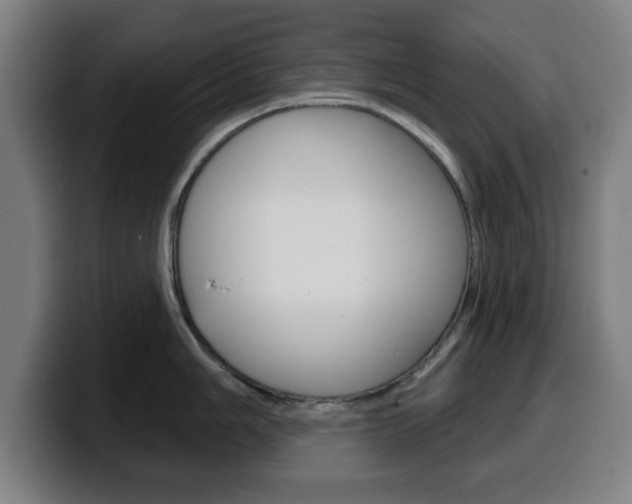 X0000099501006200805150945