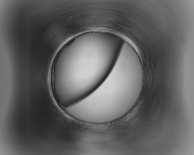 X0000099501007200805150945