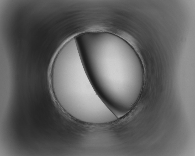 X0000099501008200805150945