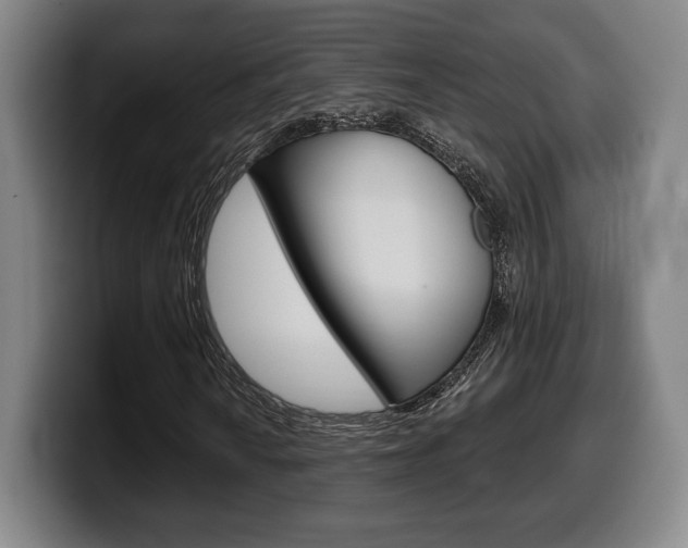 X0000099501010200805150945