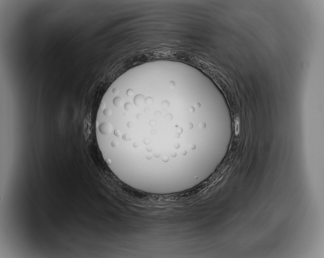 X0000099501011200805150945