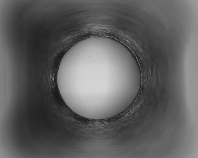 X0000099501013200805150945