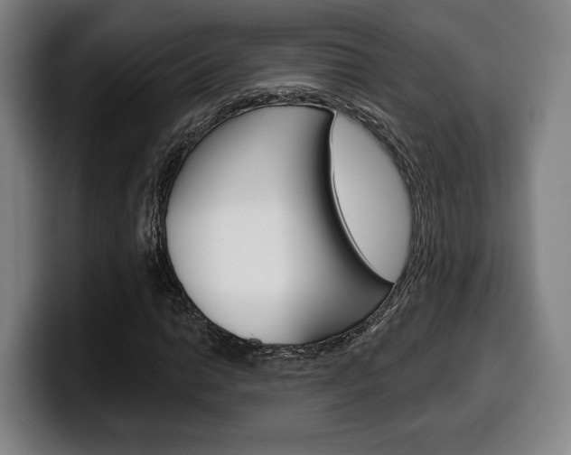 X0000099501014200805150945