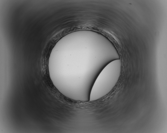 X0000099501015200805150945