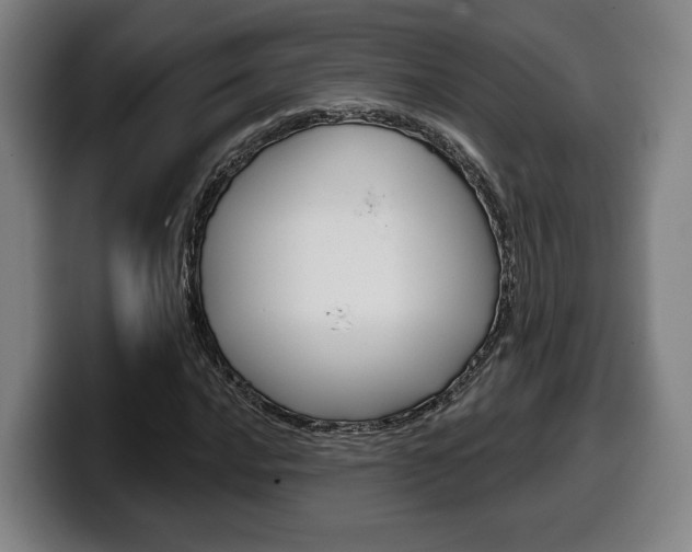 X0000099501016200805150945