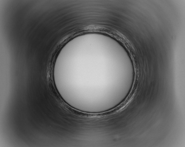 X0000099501017200805150945