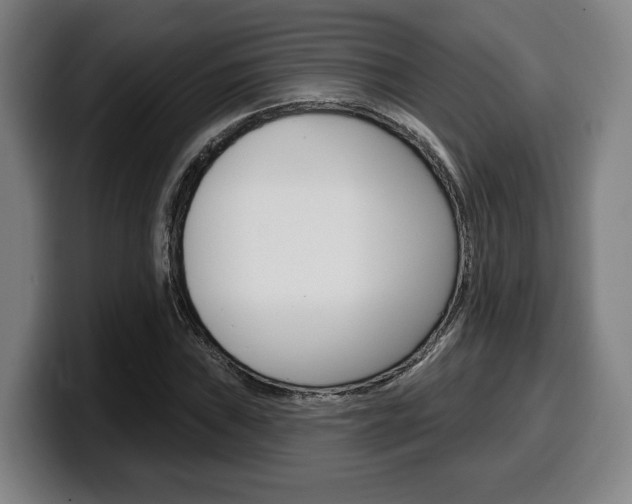 X0000099501019200805150945