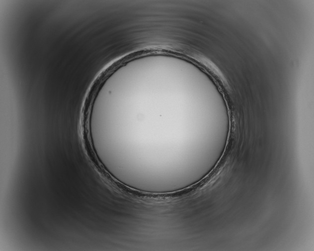 X0000099501020200805150945