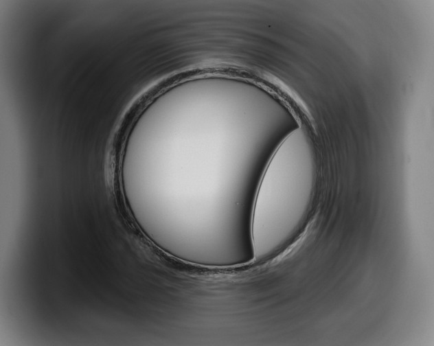 X0000099501021200805150945