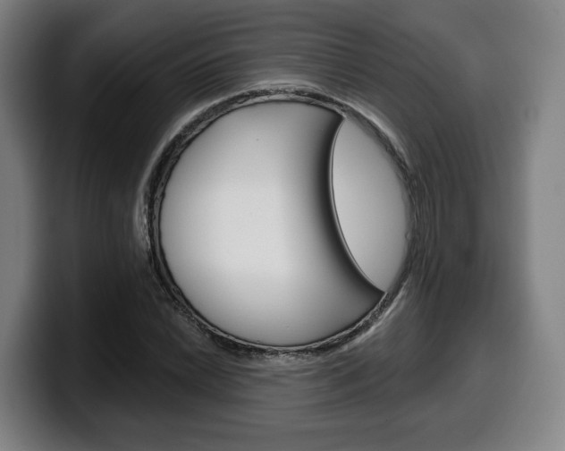 X0000099501022200805150945