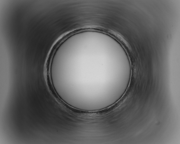 X0000099501024200805150945