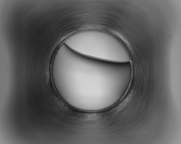 X0000099501025200805150945