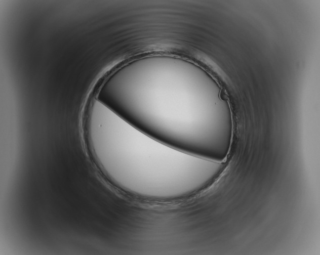 X0000099501026200805150945