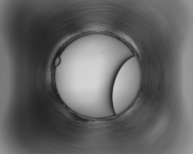 X0000099501027200805150945