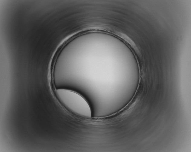 X0000099501028200805150945
