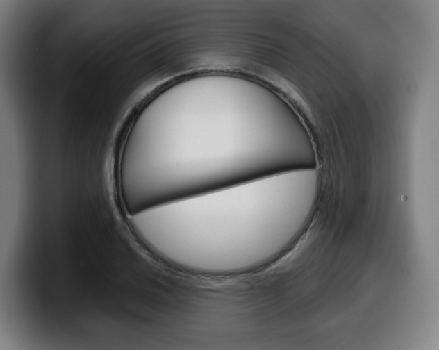 X0000099501030200805150945