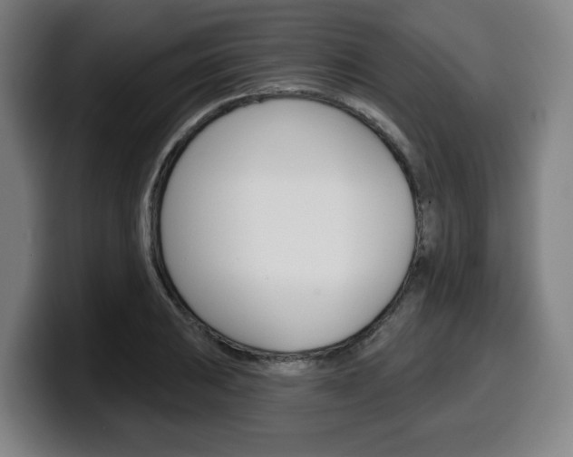 X0000099501031200805150945