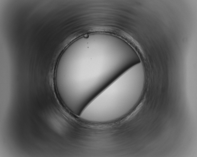 X0000099501033200805150945