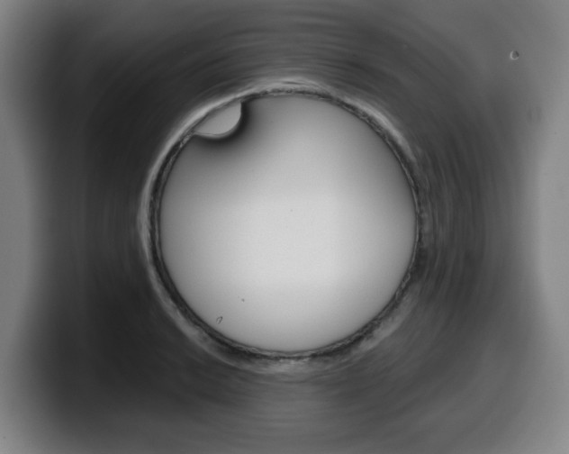 X0000099501038200805150945