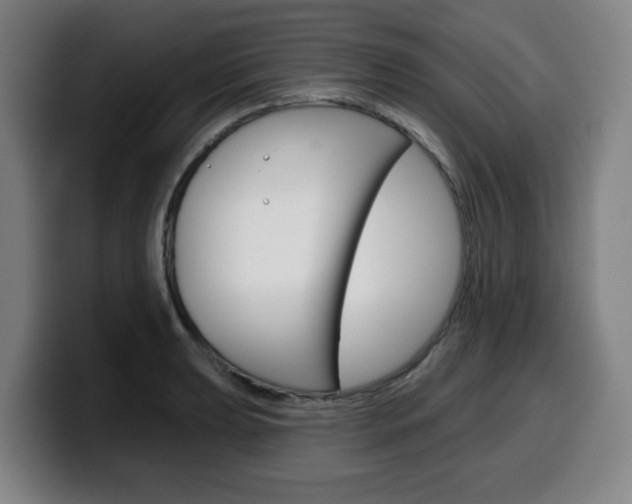 X0000099501039200805150945