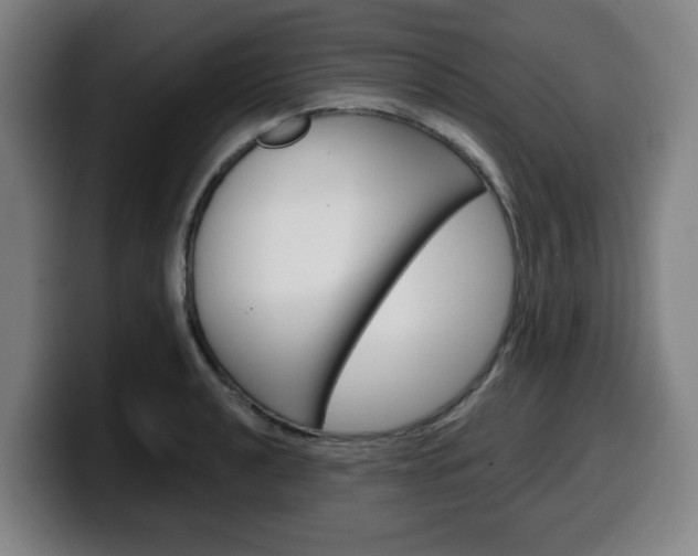 X0000099501040200805150945