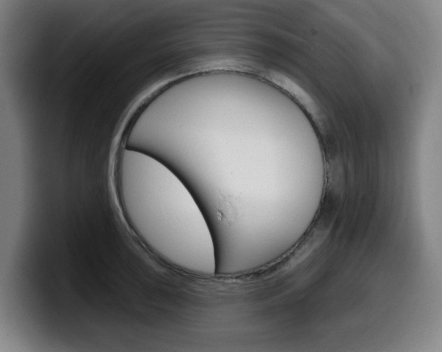 X0000099501043200805150945