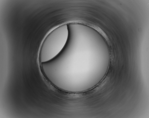 X0000099501044200805150945