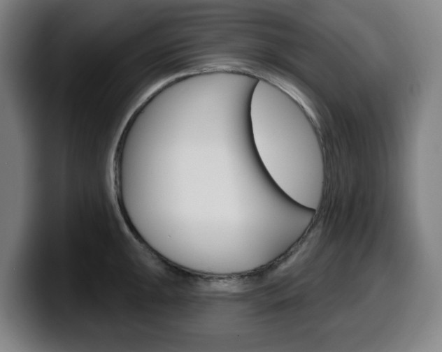 X0000099501047200805150945