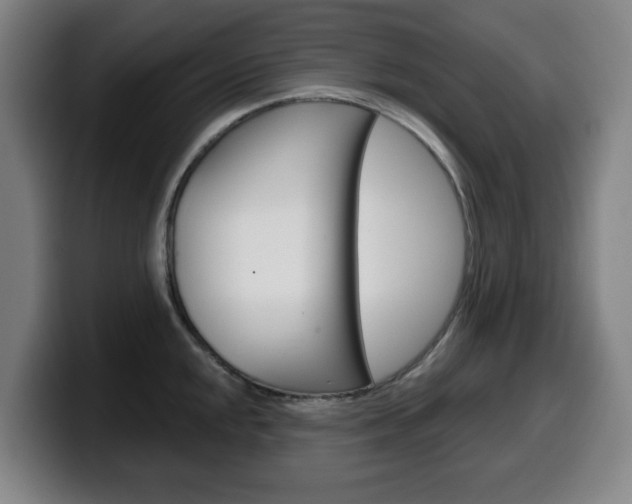 X0000099501048200805150945
