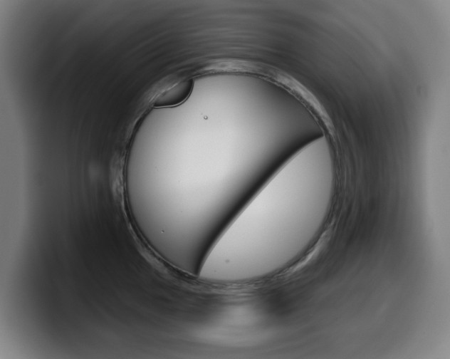 X0000099501049200805150945