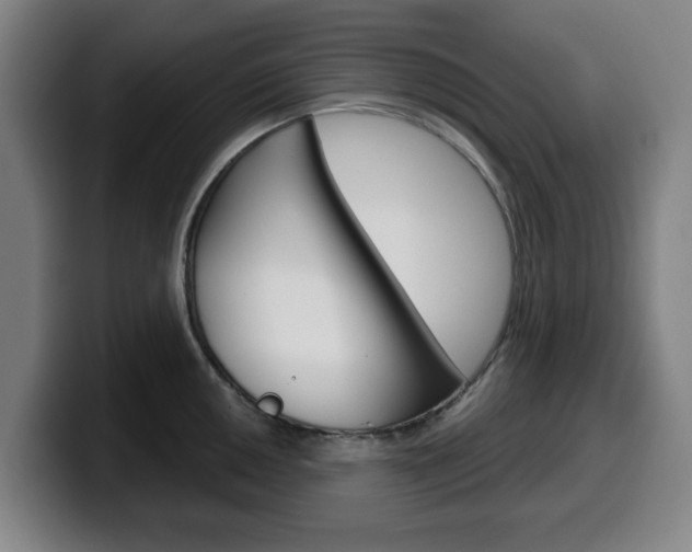 X0000099501050200805150945