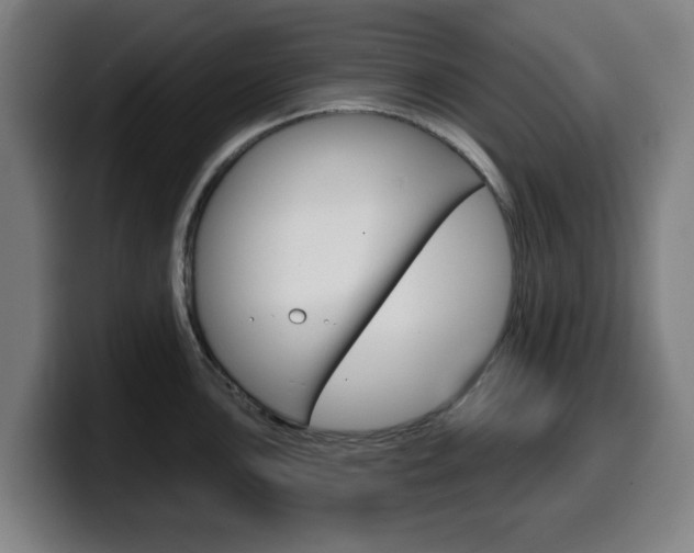 X0000099501051200805150945