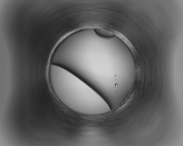 X0000099501052200805150945