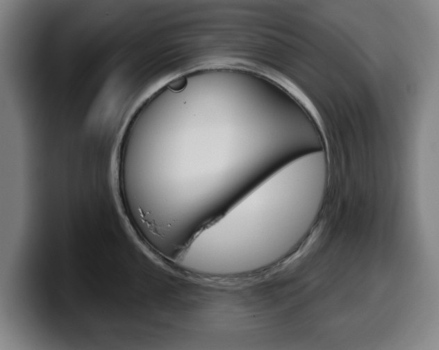 X0000099501053200805150945