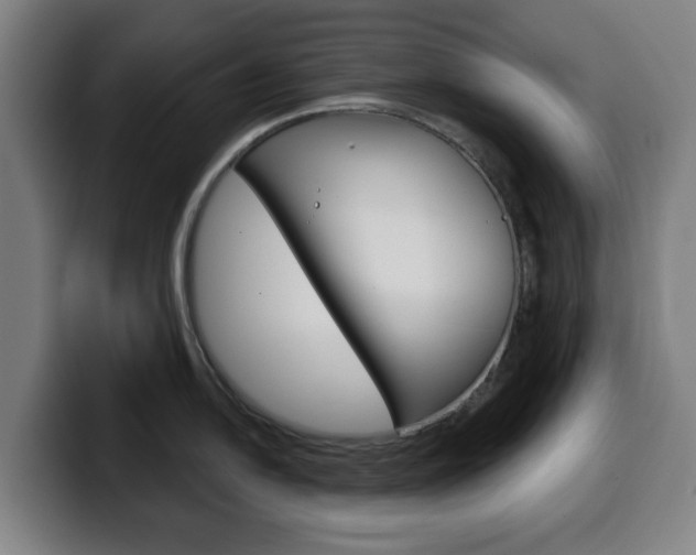 X0000099501054200805150945