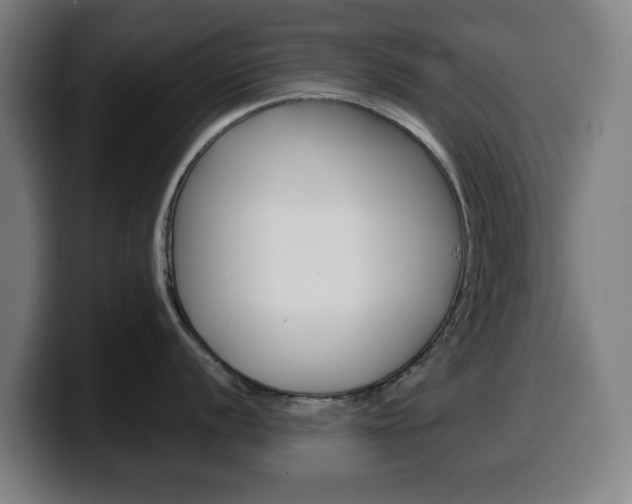 X0000099501056200805150945