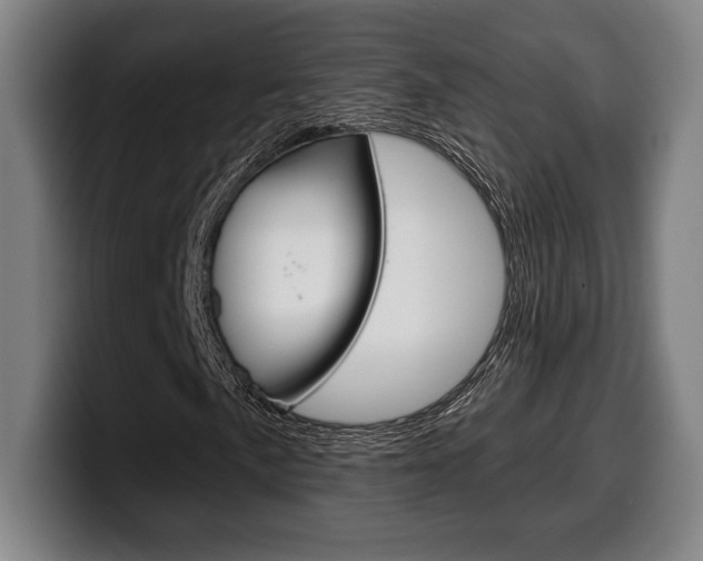 X0000099501057200805150945