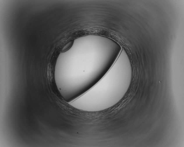 X0000099501058200805150945
