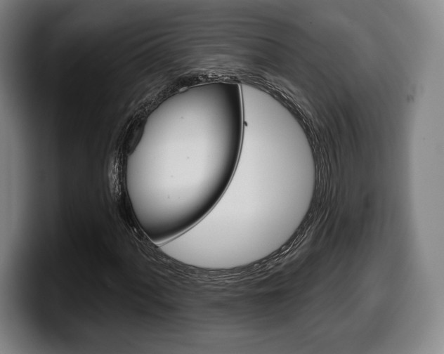 X0000099501060200805150945