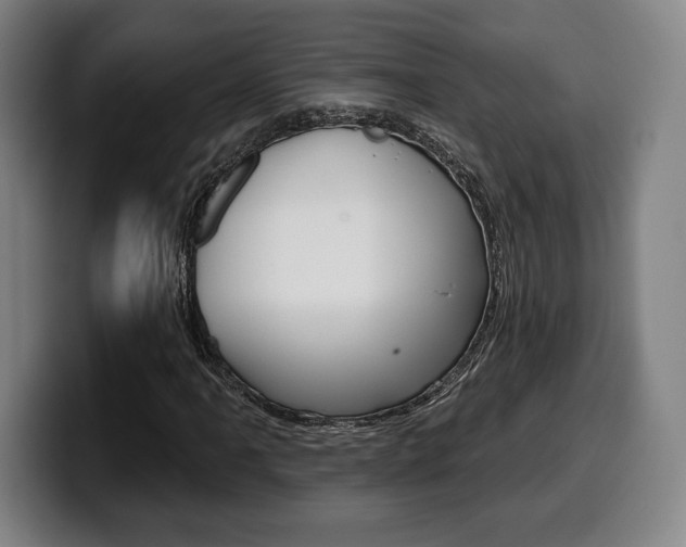X0000099501061200805150945