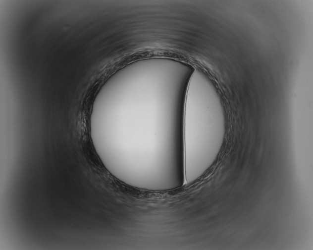 X0000099501062200805150945