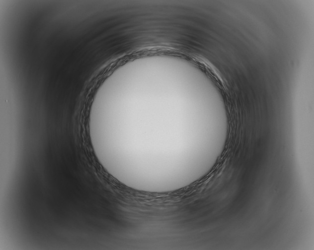 X0000099501064200805150945