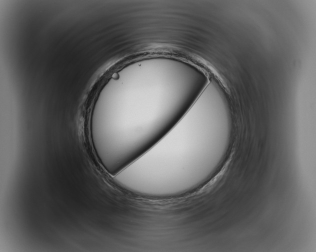 X0000099501066200805150945