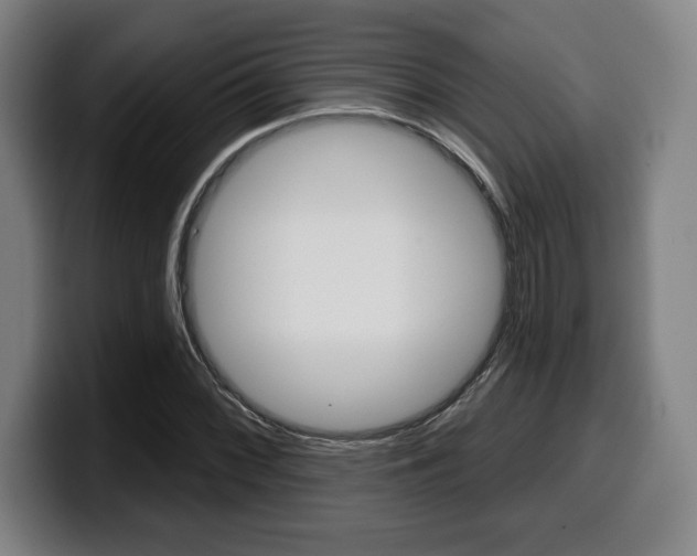X0000099501068200805150945